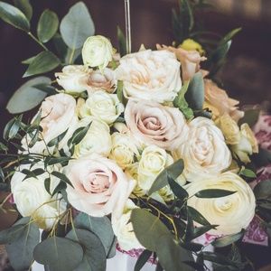 Meet your Posher, Kasie